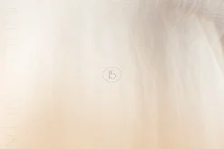 Neutral & Natural | 15 Dreamy Photos