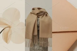 Neutral Minimalist Editorial Images