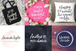 NEW!Ernest & Emily Font Duo