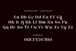 Newgon - Luxury Bold Font