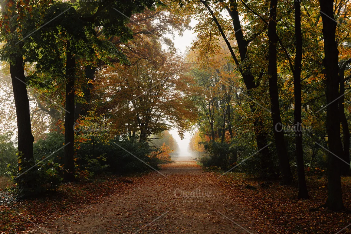 100+ New Hi-Res Autumn Photos