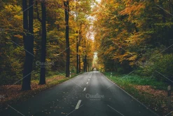 100+ New Hi-Res Autumn Photos