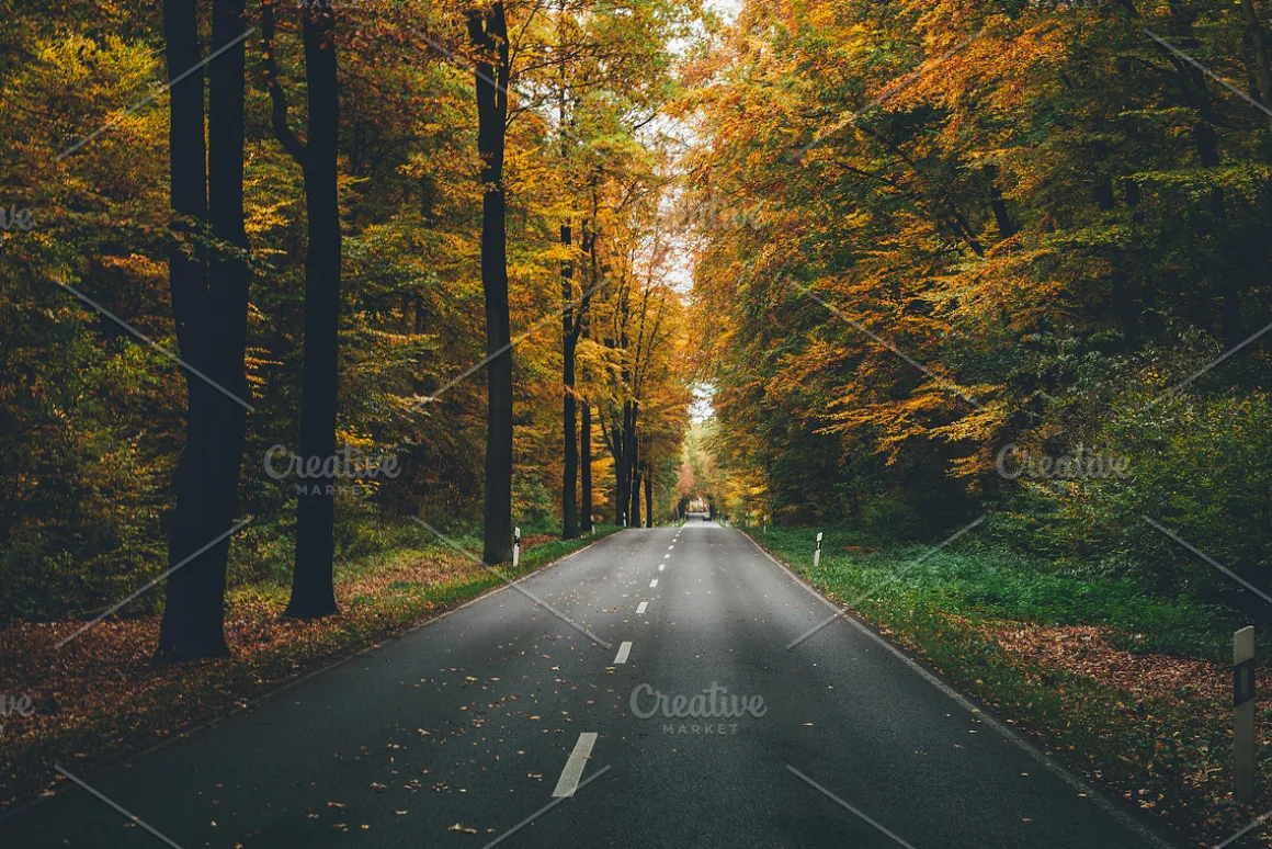 100+ New Hi-Res Autumn Photos