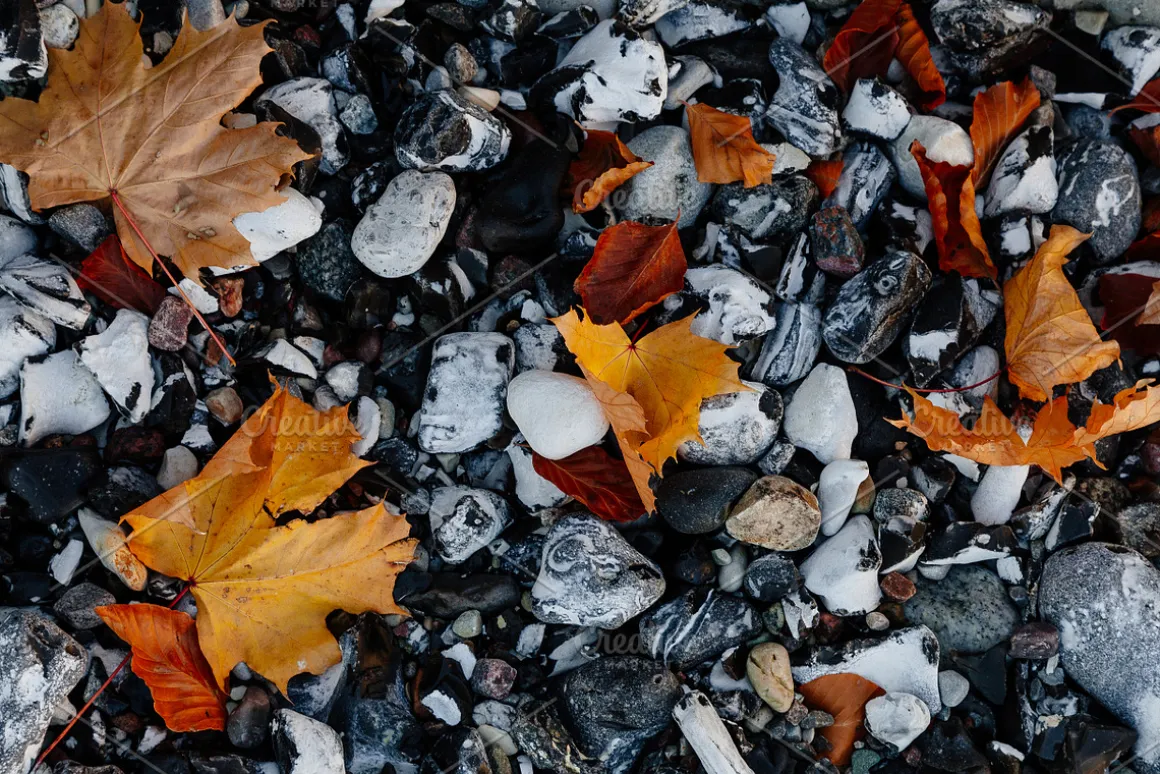 100+ New Hi-Res Autumn Photos