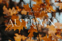100+ New Hi-Res Autumn Photos
