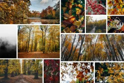 100+ New Hi-Res Autumn Photos