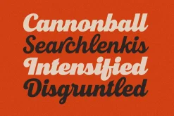 New Roshelyn Script - Font Family