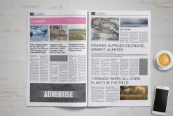Newspaper Template News