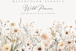 New! Spring Edition