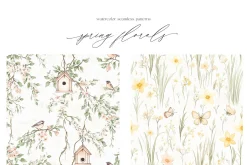 New! Spring Edition
