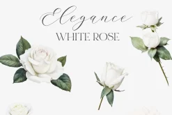 New! Spring Edition