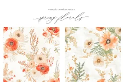 New! Spring Edition