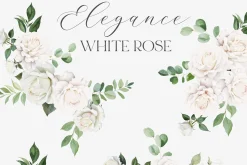 New! Spring Edition
