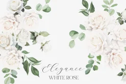 New! Spring Edition
