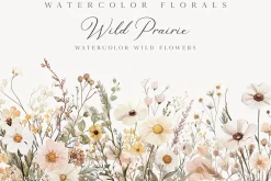 New! Spring Edition