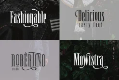Newston - Stylish Serif Font