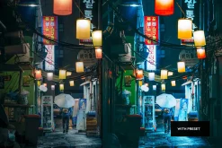 Night 2 Presets For Mobile & Desktop