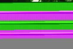 Night Vision Photo Effect