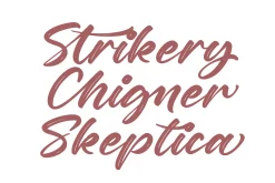 Nighty Styling Modern Brush Font