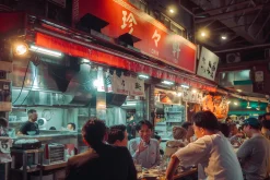 Nihon Nights Street Preset Lightroom