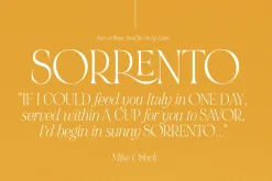 NOIR et BLANC Stylish Serif