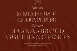 NOIR et BLANC Stylish Serif