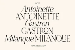 NOIR et BLANC Stylish Serif