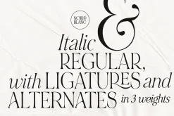 NOIR et BLANC Stylish Serif
