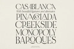 NOIR et BLANC Stylish Serif