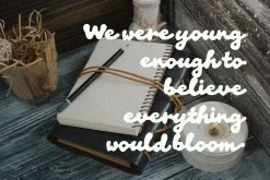 Noira – Soft Organic Display Font