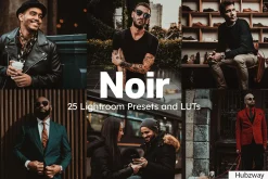 25 Noir Lightroom Presets and LUTs