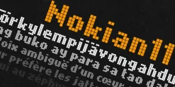 Nokian11