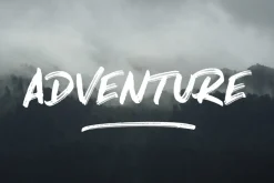 North Port | All Caps Brush Font