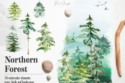 Northern Forest - 16 design elements