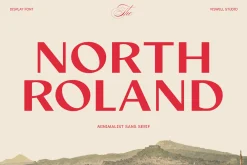 North Roland - Display Sans Serif