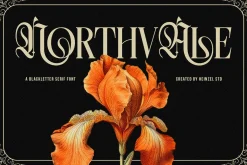 Northvale Blackletter Serif Font