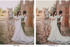 20 Nostalgic Lightroom Presets LUTs