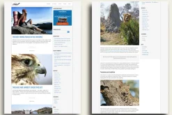 Noted - Responsive WordPress Theme