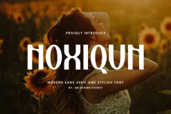 Noxiqun - Aesthetic & Minimal Font