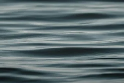 Ocean Water Pack Vol.1 – 5 Textures