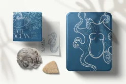 Ocean Botanica