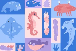 Ocean Life | Graphic Collection