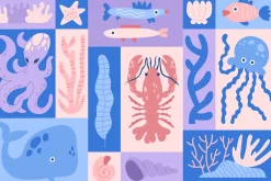 Ocean Life | Graphic Collection