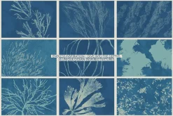 Ocean Shots hand drawn backgrounds