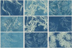Ocean Shots hand drawn backgrounds
