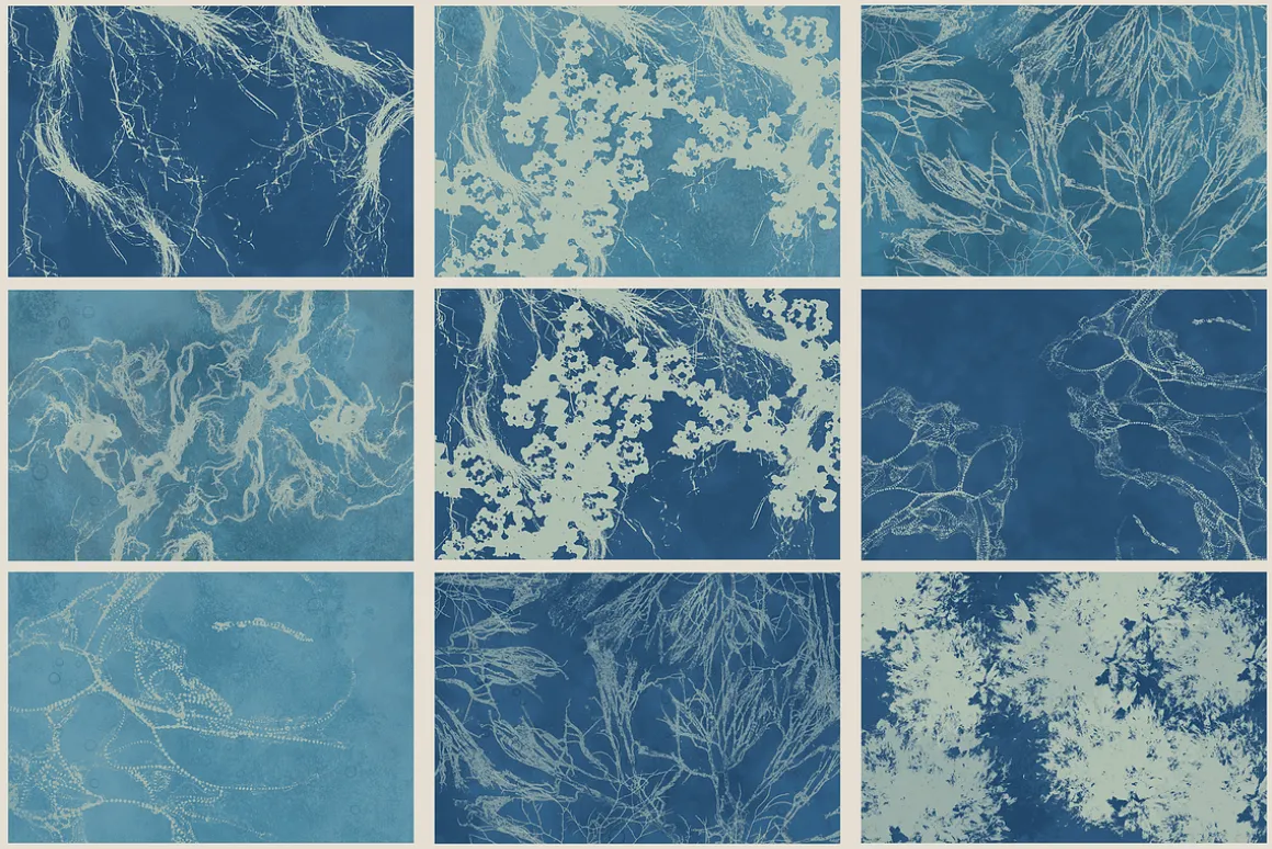 Ocean Shots hand drawn backgrounds