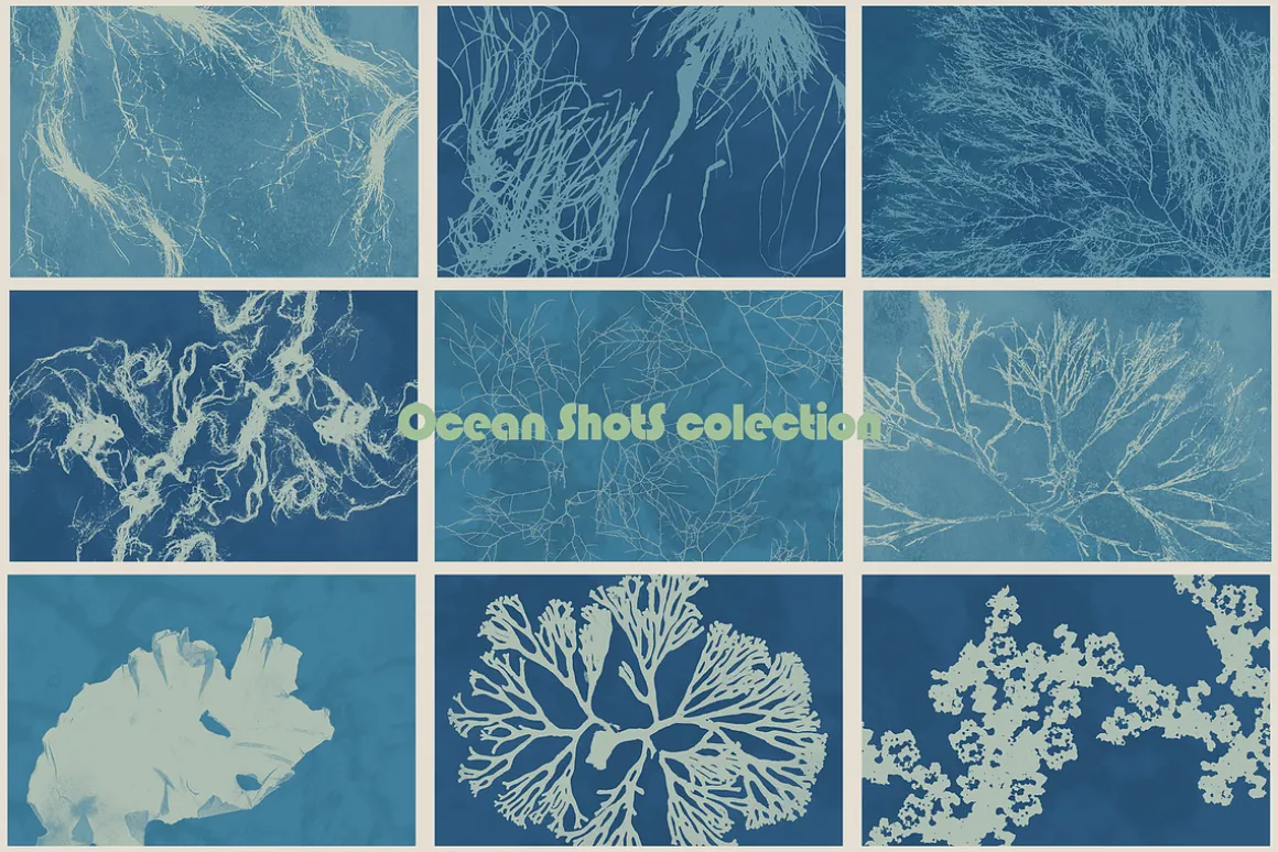 Ocean Shots hand drawn backgrounds