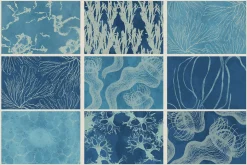 Ocean Shots hand drawn backgrounds