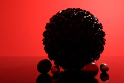 Octane Render Studio Setup for C4D