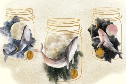 20% OFF! Mystical Whales